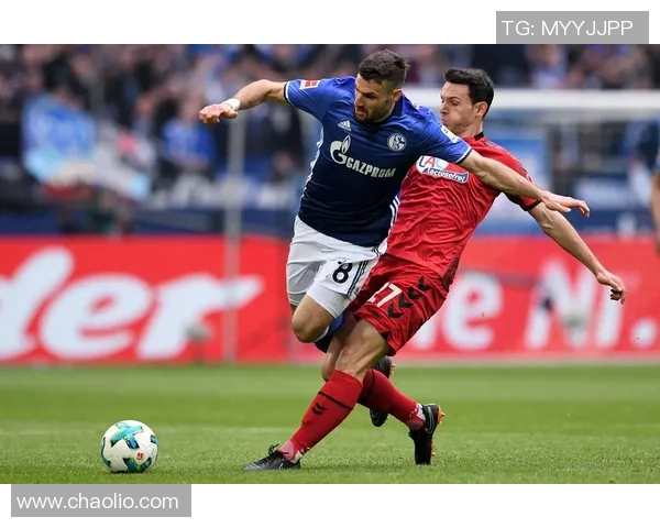 沙尔克04客场击败弗赖堡，德甲前十再现辉煌！