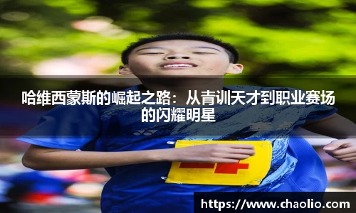 HB火博手机网页版登录